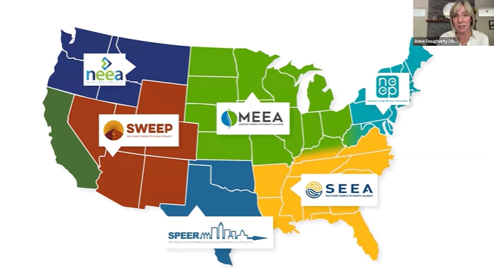 Energy Changemakers: Insights from Regional Energy Efficiency Organization Leaders 1